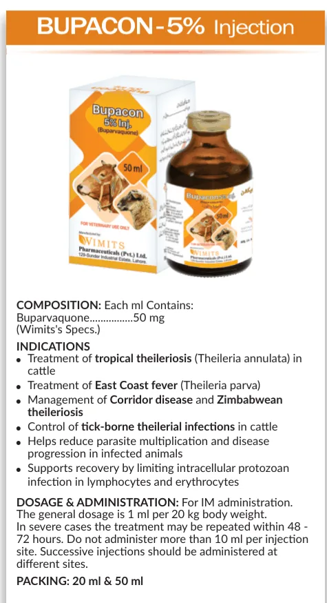 BUPACON-5% Injection-Each ml contains:Buparvacuone ....50mg   (Wimits Specs) – Wimits Pharmaceuticals